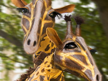 Teatro Pavana (NL) Giraffen
