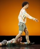 Danza Mobile IDEM