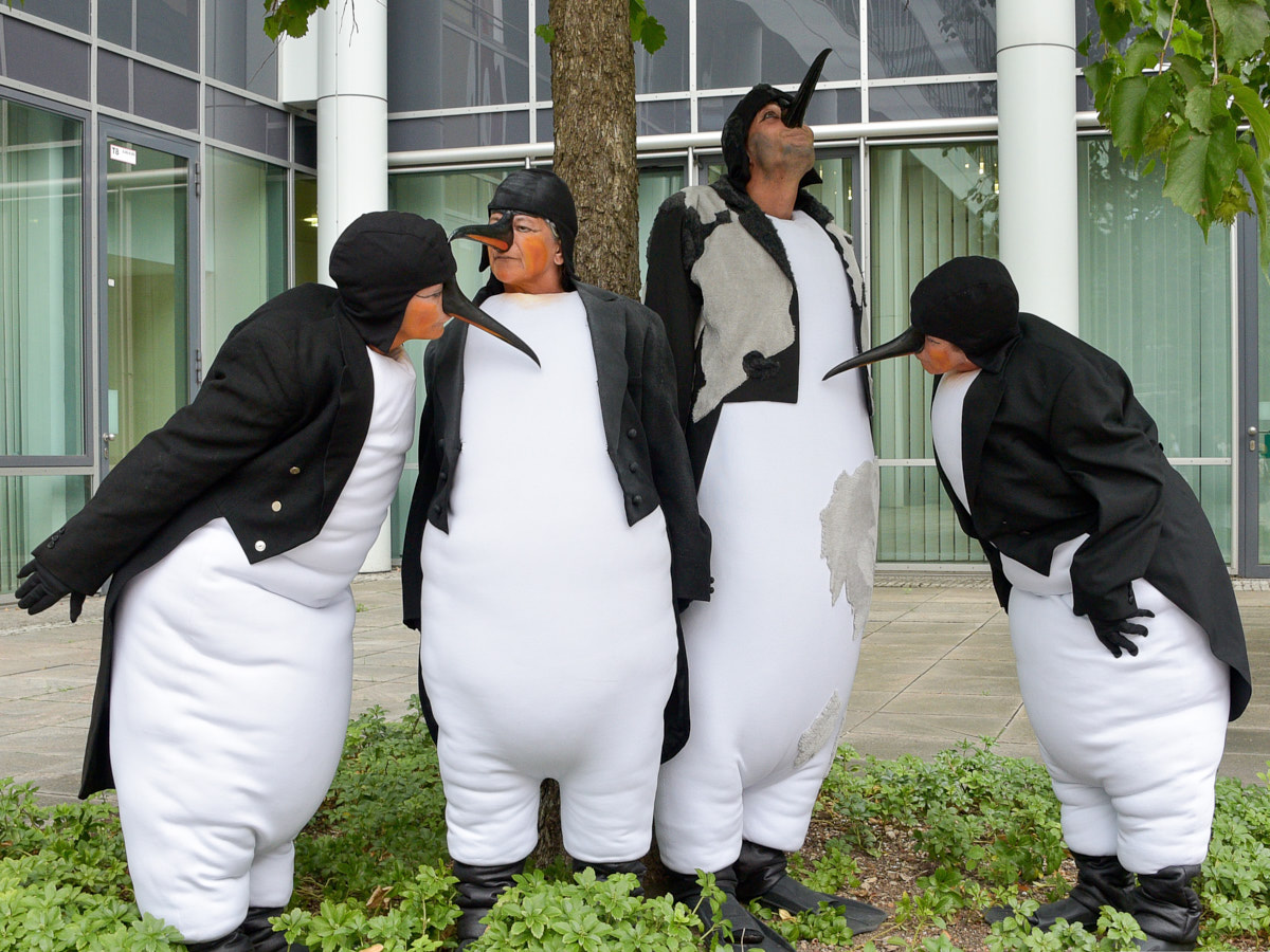Vier Personen in schwarz-weißen Pinguin-Kostümen stehen in einem Beet um einen Baum herum.